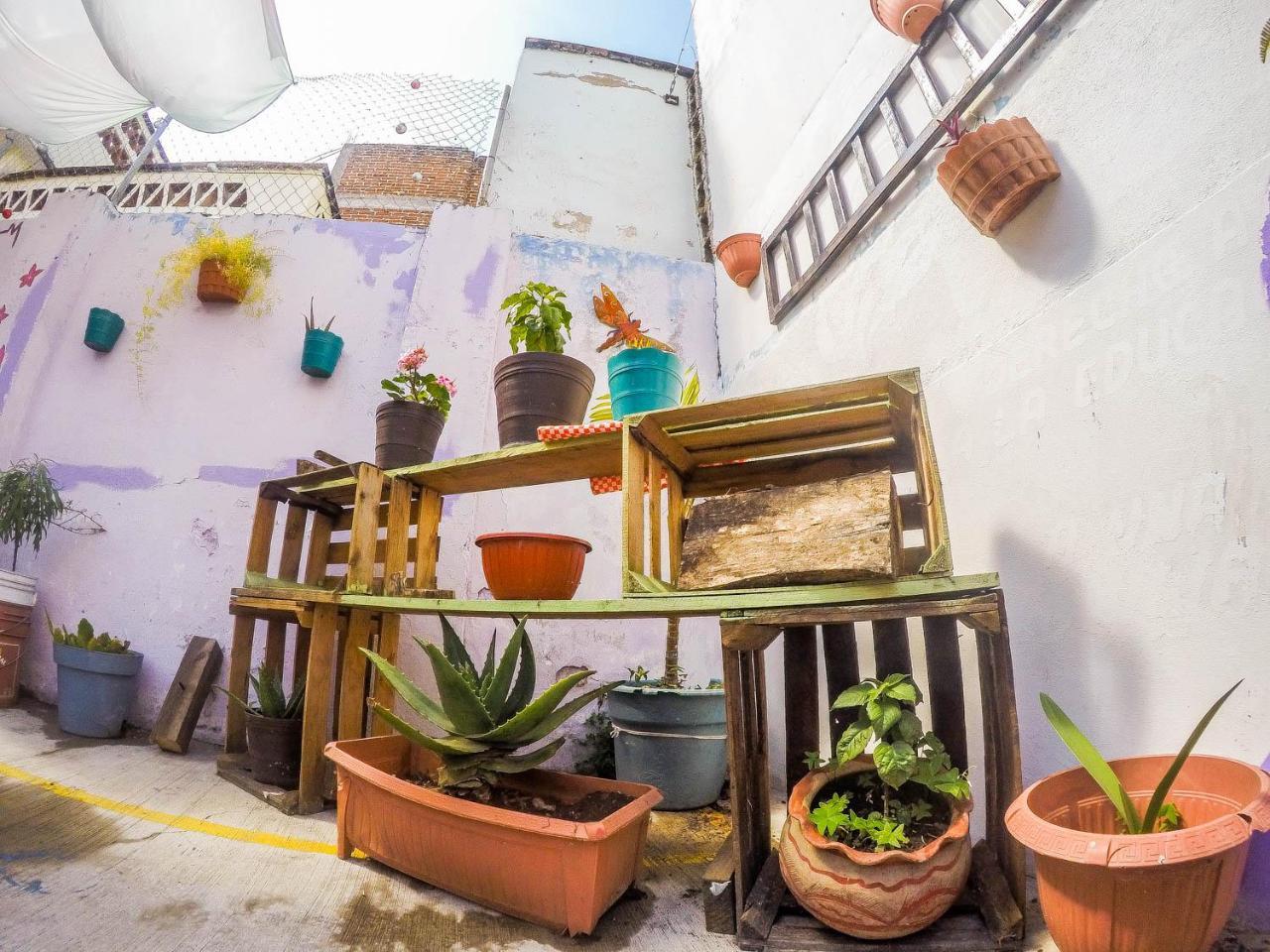 Casa Papa Chango San Cristobal de las Casas Bagian luar foto